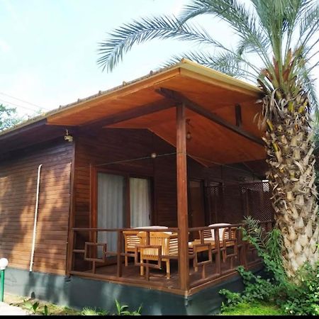 Olympos Yavuz Hotel Çıralı Luaran gambar