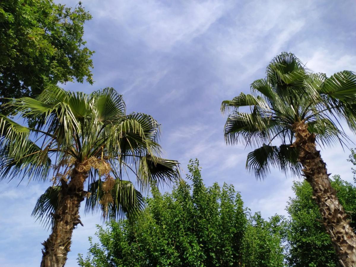 Olympos Yavuz Hotel Çıralı Luaran gambar