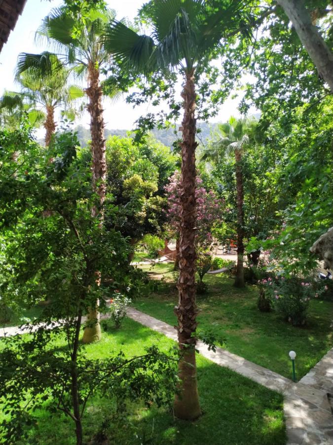 Olympos Yavuz Hotel Çıralı Luaran gambar