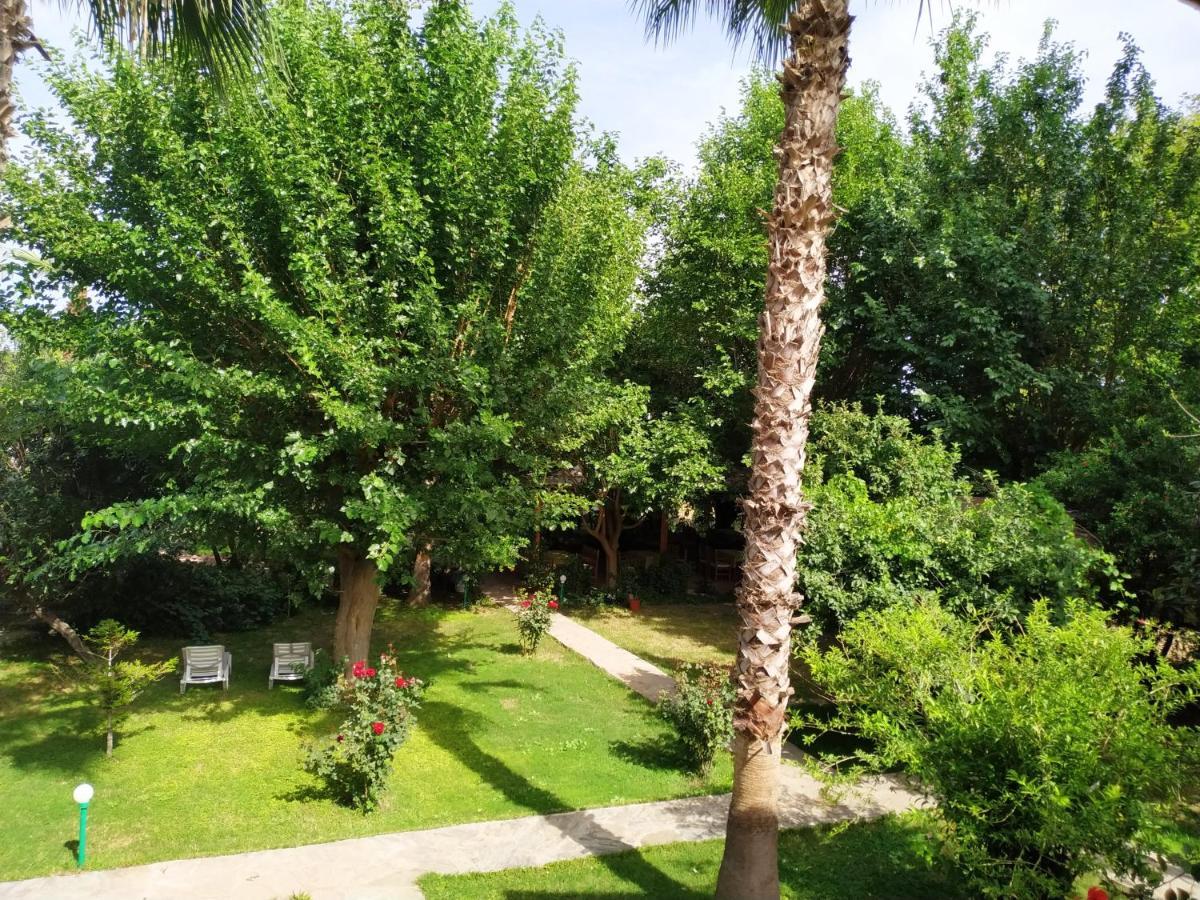 Olympos Yavuz Hotel Çıralı Luaran gambar