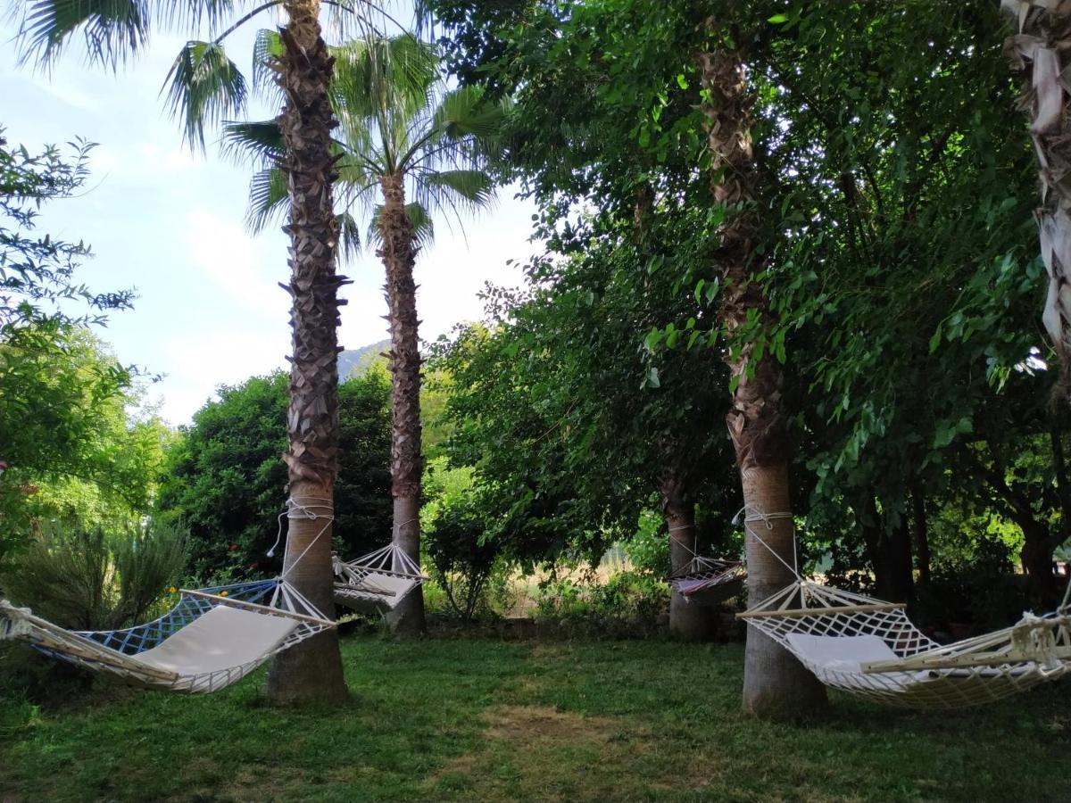 Olympos Yavuz Hotel Çıralı Luaran gambar