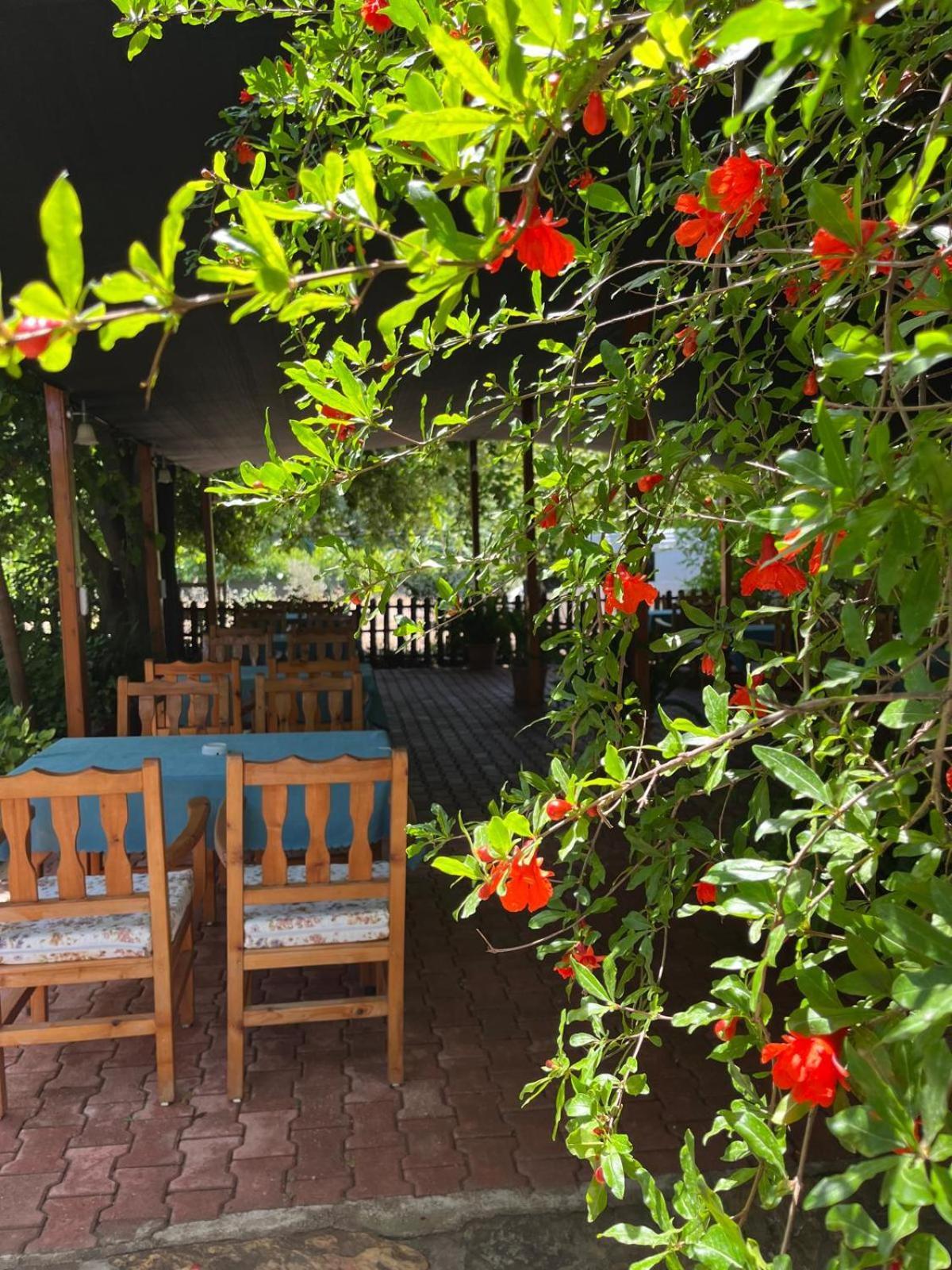 Olympos Yavuz Hotel Çıralı Luaran gambar
