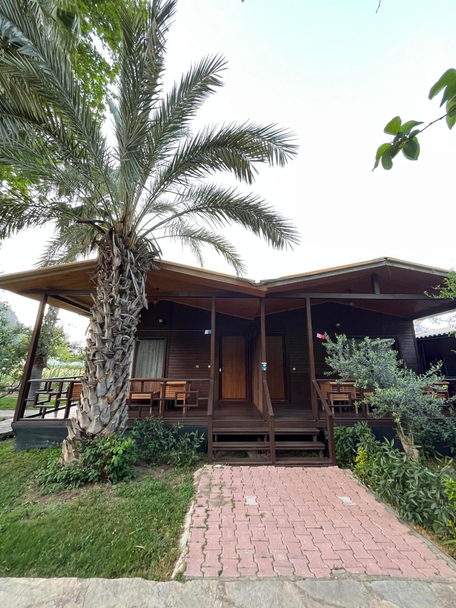 Olympos Yavuz Hotel Çıralı Luaran gambar
