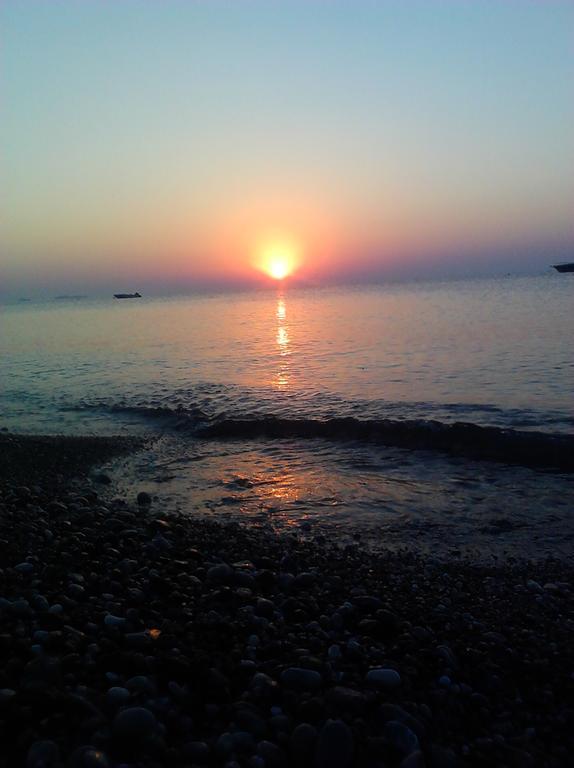 Olympos Yavuz Hotel Çıralı Luaran gambar